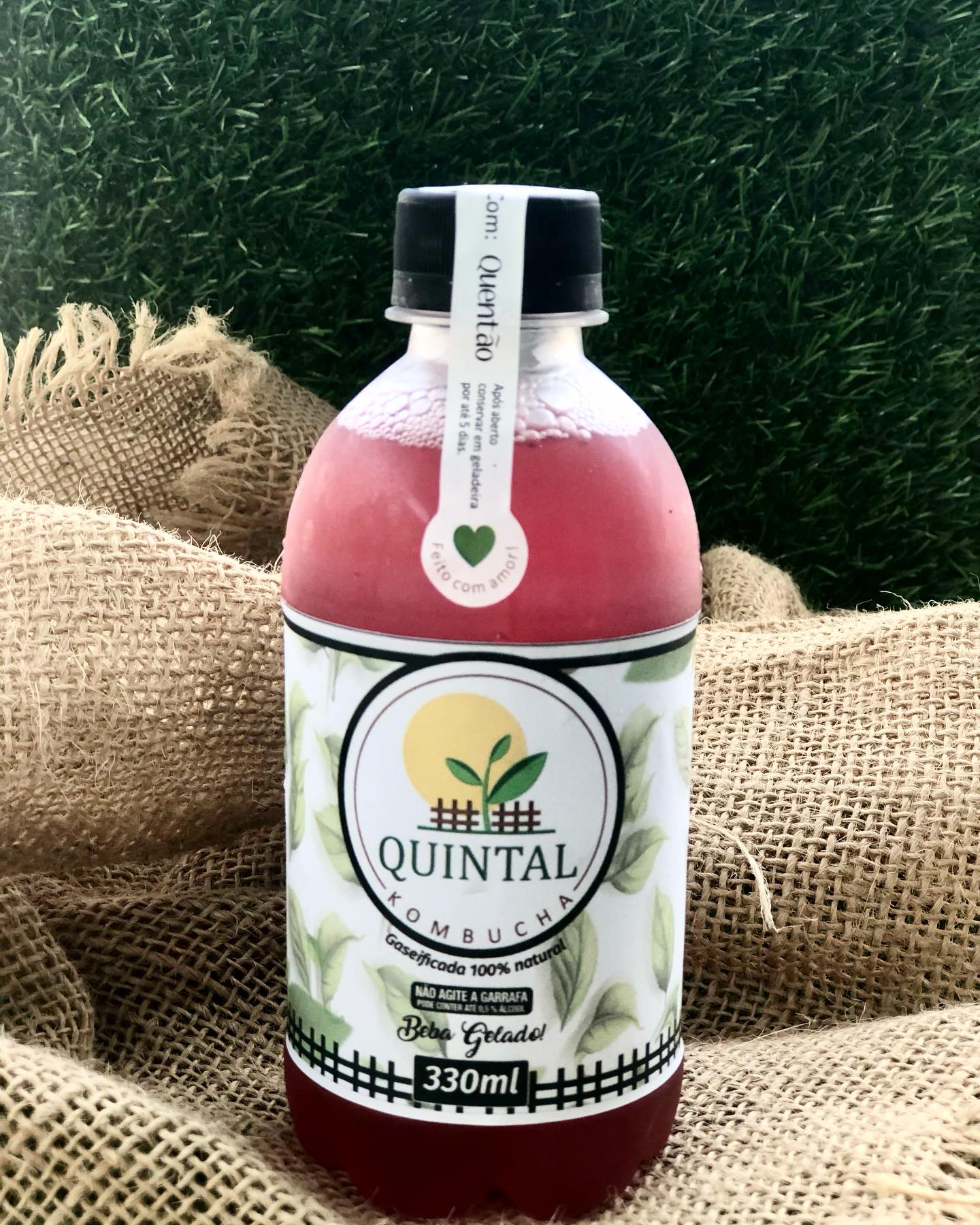 Garrafa real de kombucha Quintal: Amora, cravo e canela