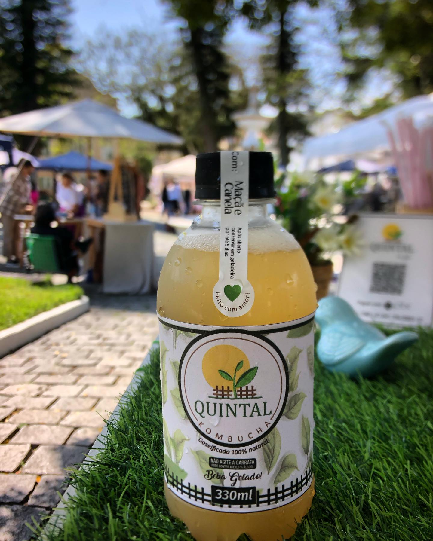 Garrafa real de kombucha Quintal: Maçã com canela