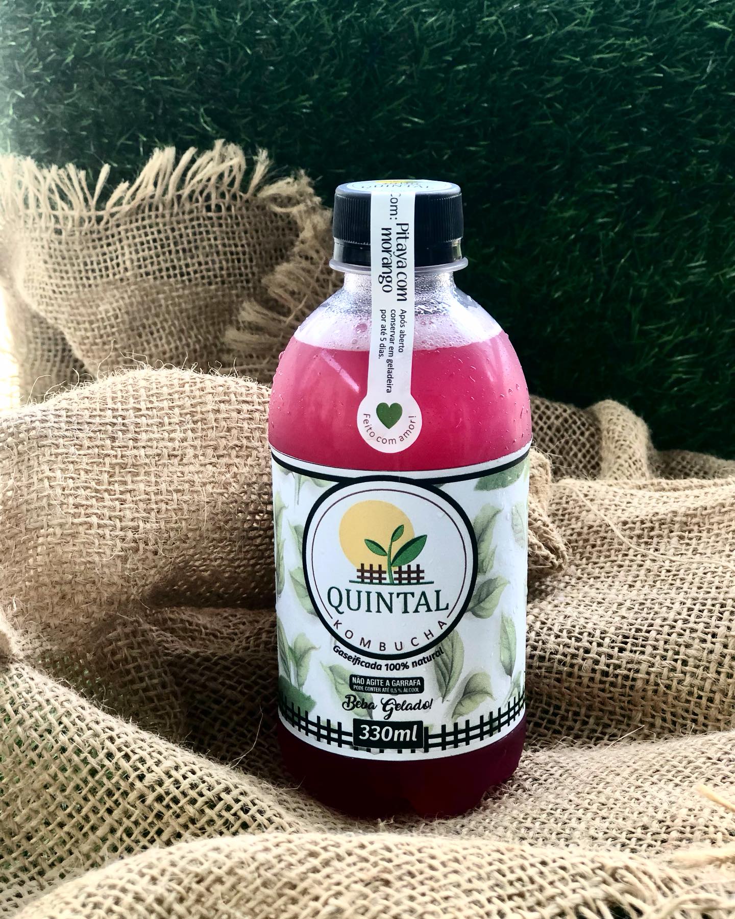 Garrafa real de kombucha Quintal: Pitaya com morango