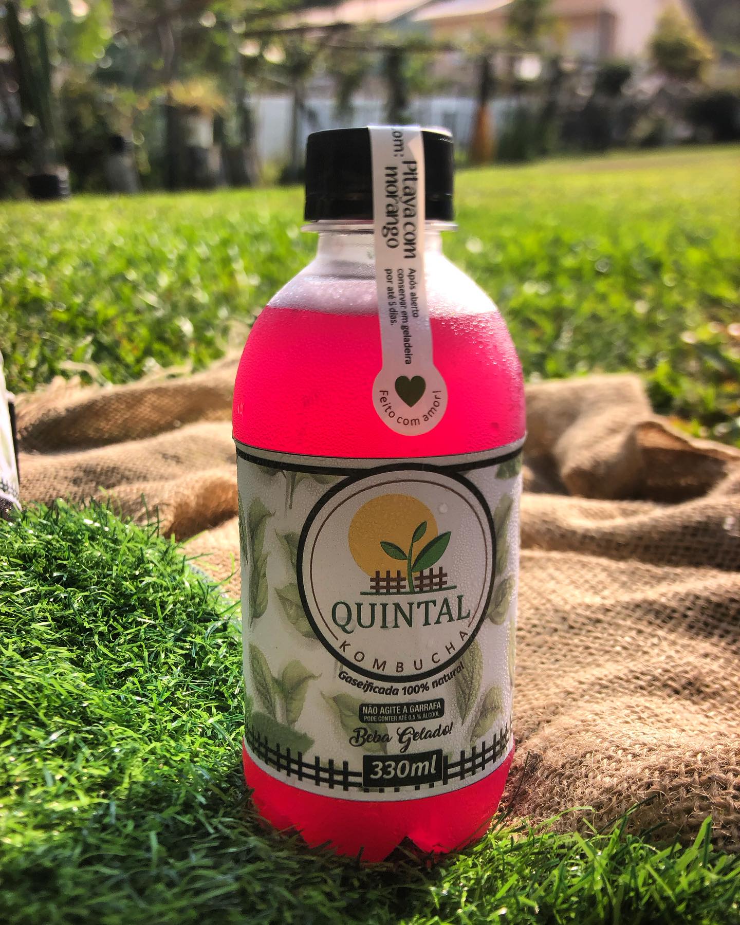 Kombucha Quintal ao sol, entre a grama e a juta