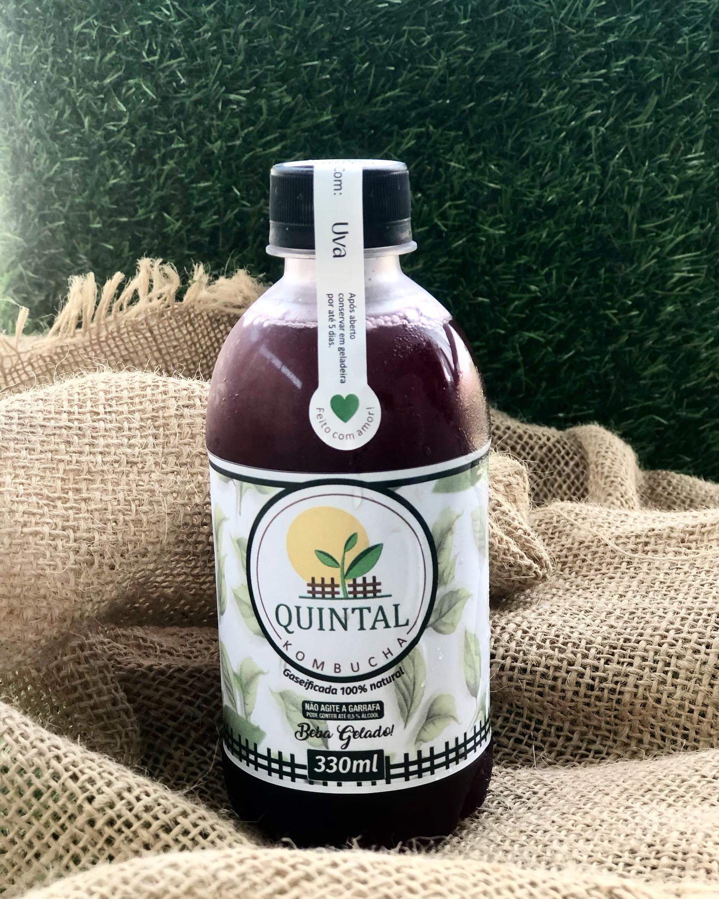 Garrafa real de kombucha Quintal: Uva